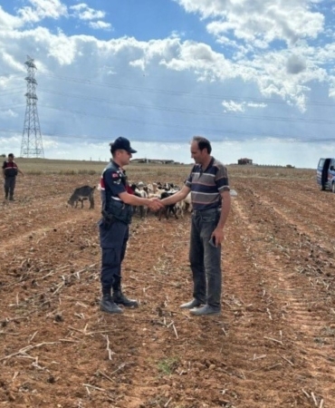 Kırklareli’nde kaybolan küçükbaş hayvanlar bulundu