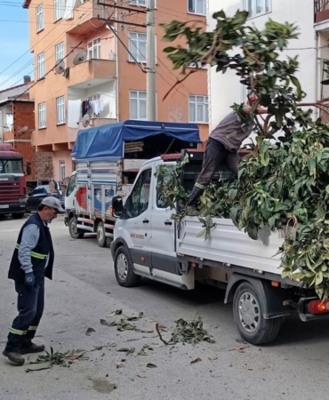 Körfez’de yeşil alanlara bakım