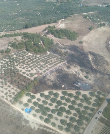 Orman yangını söndürüldü