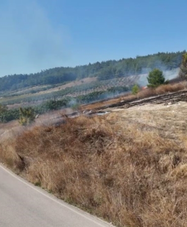 Ormanlık alanda korkutan yangın