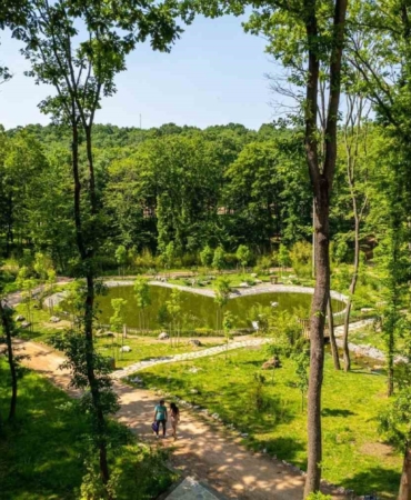 "Ormanya, marka yönetiminin en güzel örneği"