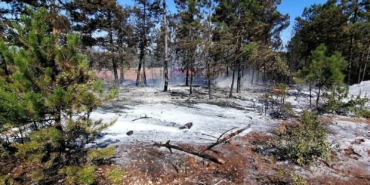 Osmaneli’de çıkan orman yangını büyümeden söndürüldü