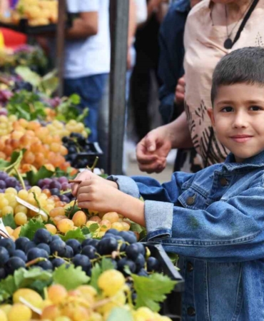 Osmangazi’nin en güzel üzümleri seçildi