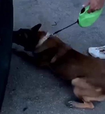 Otomobilin yedek lastiğinden uyuşturucu madde çıktı