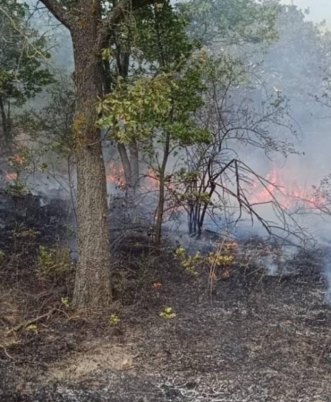 Pehlivanköy’de orman yangını söndürüldü