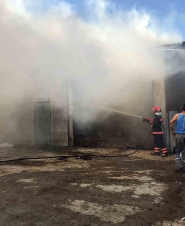 Sakarya’da 2 ahır ve 2 samanlık alevlere teslim oldu: 1 yaralı