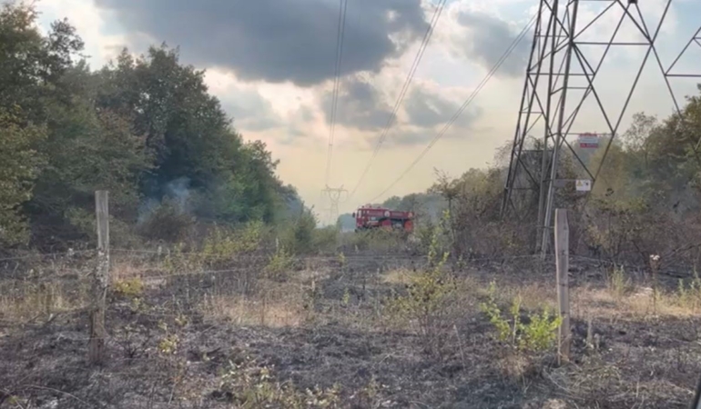 Sakarya’da boş arazide yangın