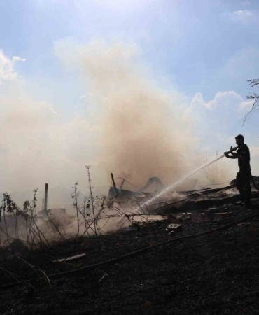 Sakarya’da korkutan yangın: Ahırda başladı, ormanlık alana sıçradı