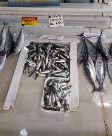 Sezonun ilk balıkları tezgahlardaki yerini aldı