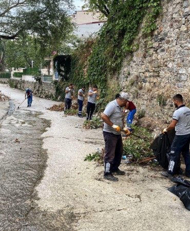 Temiz çevre için güç birliği