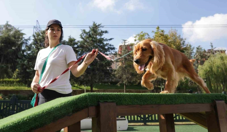 Türkiye’nin en kapsamlı Köpek Eğitim Merkezi Ümraniye’de