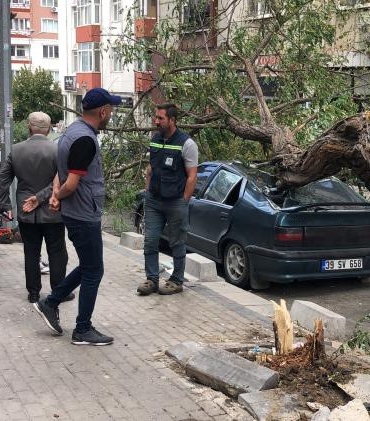 Üzerine ağaç devrilen otomobil hurdaya döndü: O anlar kamerada