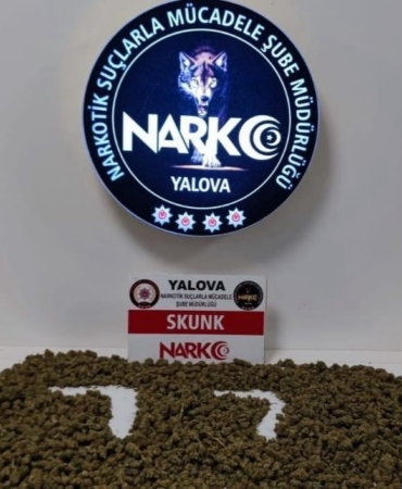 Yalova’da uyuşturucu operasyonunda 2 tutuklama