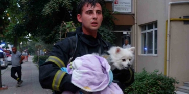 Yangında mahsur kalan köpek kurtarıldı