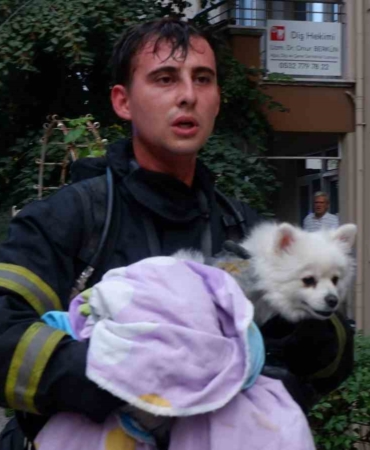 Yangında mahsur kalan köpek kurtarıldı