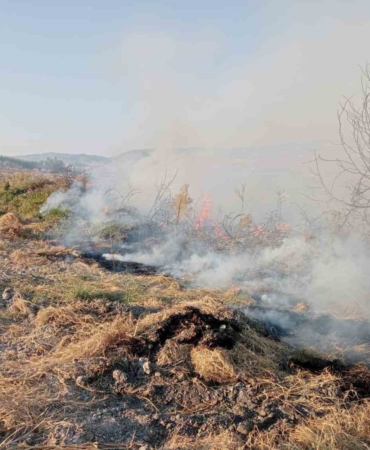 Yenişehir’de ormanlık alanda çıkan yangına havadan ve karadan müdahale edildi