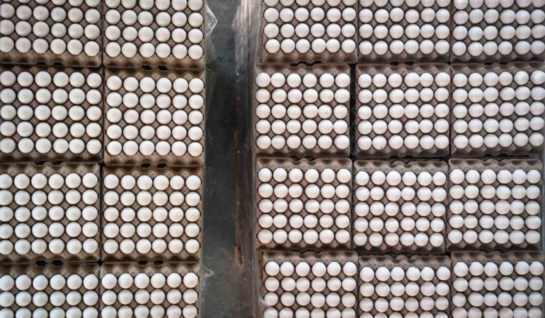 Yumurta fiyatlarındaki sezonluk indirim son buldu, fiyatlar eski seviyeye döndü