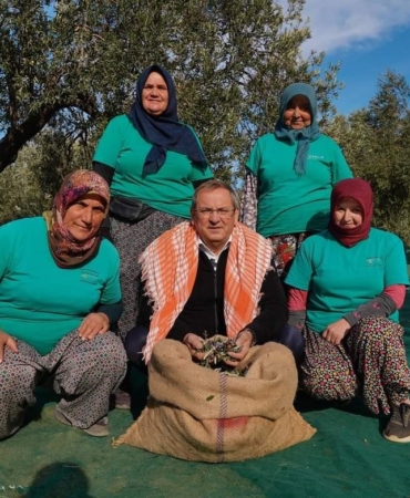 Ayvalık Belediyesi zeytinliklerinin ilk hasadı Başkan Ergin’den