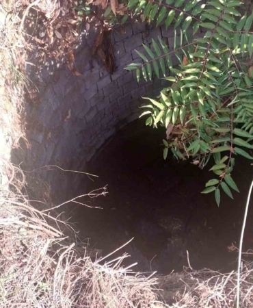 Babaeski’de kuyuya düşen köpek itfaiye ekiplerince kurtarıldı