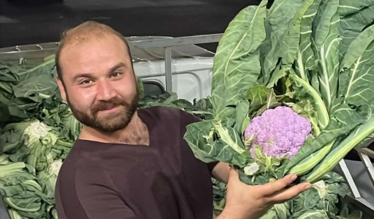 Bandırma halinde "Mor Karnabahar" şaşkınlığı