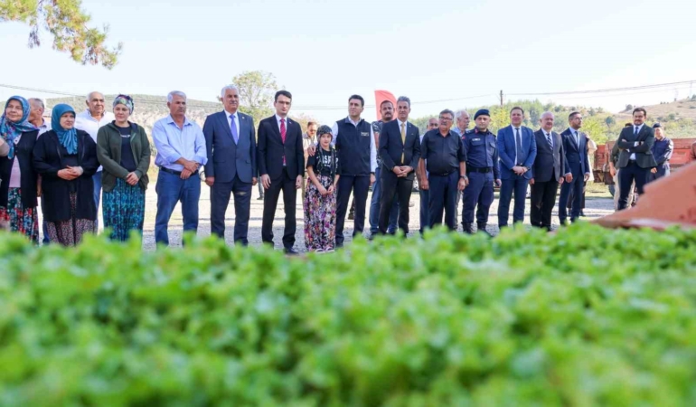 Bilecik’te 1 milyon 126 adet marul fidesi dağıtıldı