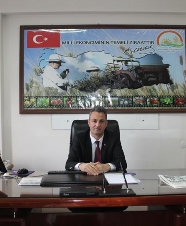 Bilecik’te çiftçilerin kahverengi kokarca paniği