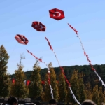 Binlerce uçurtma gökyüzünde süzüldü