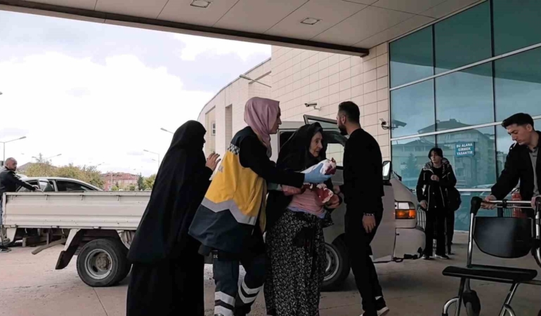 Bursa’da bir garip olay: Kedi ile köpeğin kavgasını ayırdı, kedinin saldırısına uğradı