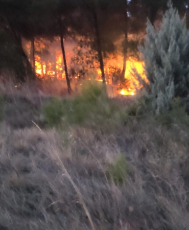 Bursa’da korkutan orman yangını