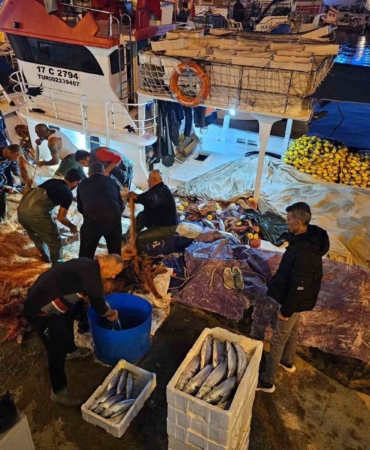 Çanakkale’de balıkçıların ağına 800 çift palamut takıldı