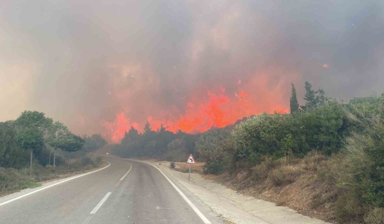 Çanakkale’de ormanlara giriş yasağı 30 Kasım’a kadar uzatıldı