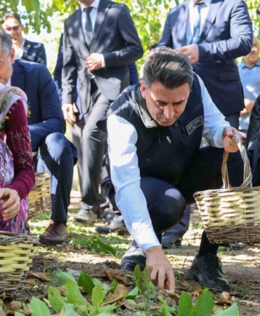 Ceviz üretiminde Türkiye 3’üncüsü Bilecik oldu
