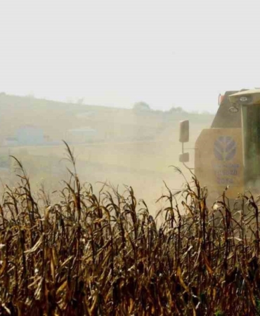 Desteklenen çiftçilerin yüzü gülüyor