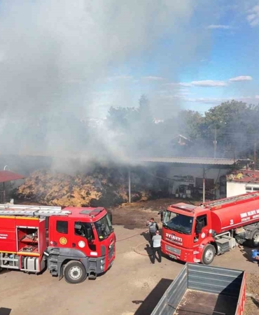 Edirne’de çiftlik yangını: Samanlar ve çeltikler küle döndü