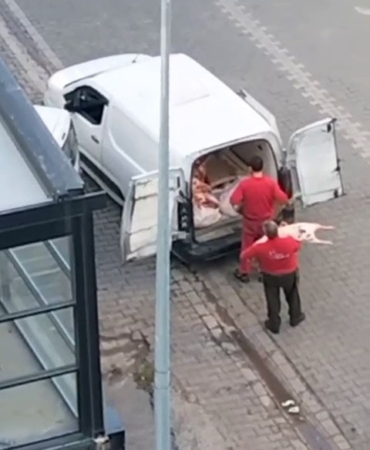 Esenyurt’ta mide bulandıran anlar kamerada