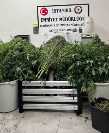 Evi uyuşturucu serasına çevirip ticaret yapan şahıslara operasyon