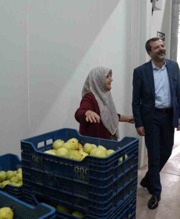 Hayriye teyze Gürsu armudu ile girişimci oldu