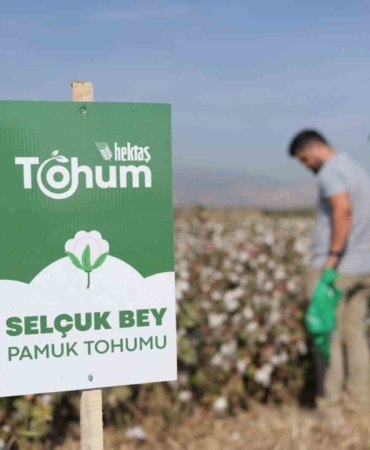 Hektaş’ın hedefi tohumda bağımsızlık