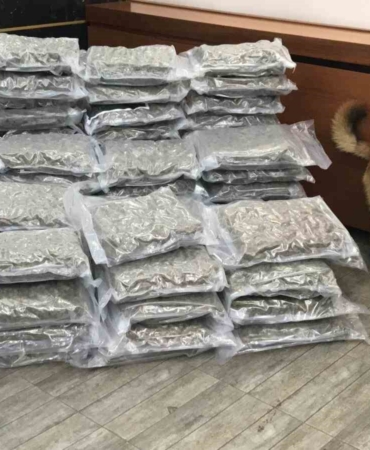 İstanbul’da uyuşturucu operasyonları: 8 gözaltı