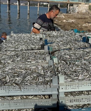 İznik Gölü’nde tarihi balık rekoru