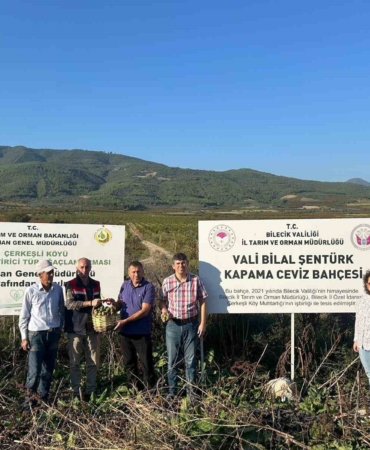 Kavaklığı ceviz bahçesine dönüştüren muhtarlık ilk hasadını yaptı