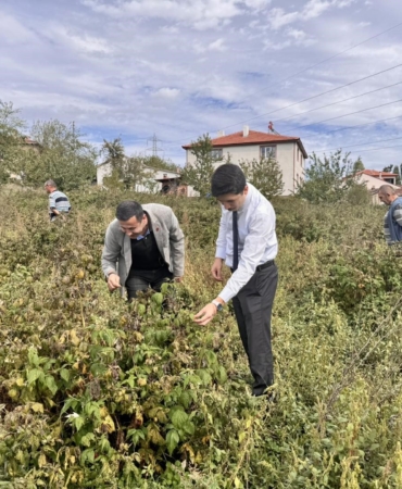Kaymakam Kahraman, ahududu ve aronya tarlalarında inceleme yaptı