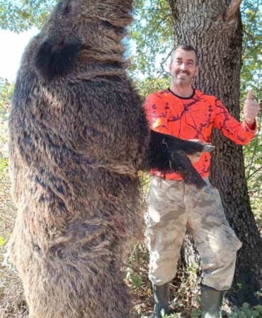 Köylünün kabusu dev domuzlar avcılar tarafından vuruldu