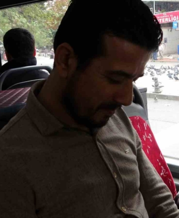 Otobüse binen sevimli kedi camdan güvercinleri izledi, gülümseten anlar kameraya yansıdı