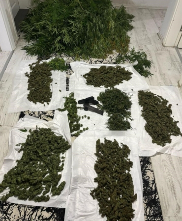 Sarıyer’de uyuşturucu tarlasına çevrilen eve baskın: Beşik ve şifonyeri bile kullanmışlar