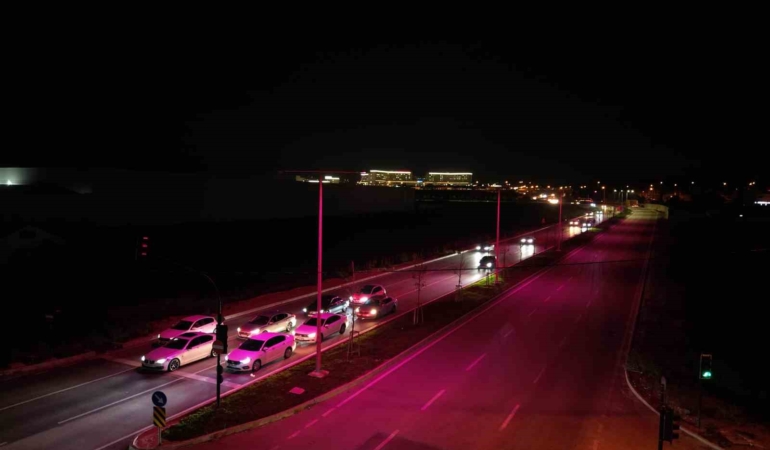 Sokak lambaları, meme kanseri farkındalığı için pembe yandı