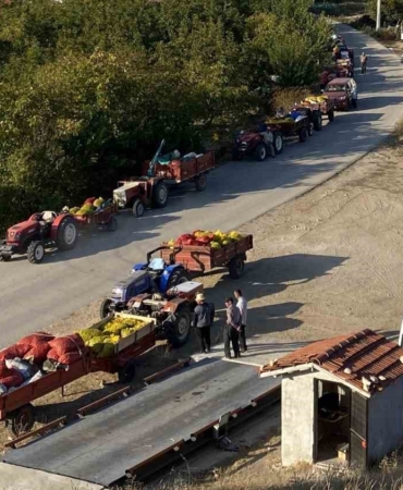 Taze ceviz toptan 25 liraya satılıyor