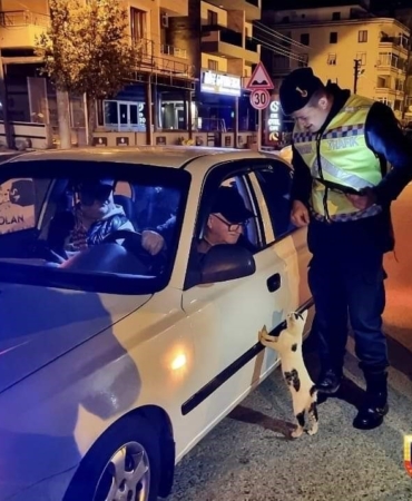 Tekirdağ’da denetim sırasında araca tırmanan kedi gülümsetti: "Ehliyet, ruhsat tamam ama mamayı unuttun"