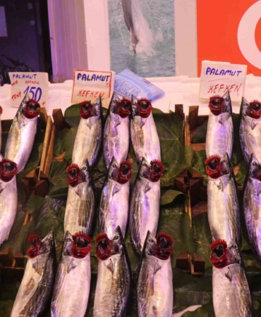 Tezgahlarda çeşit çok ama en çok palamut satılıyor