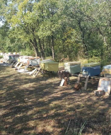 Üniversitenin zarar gören arı kovanları üretici desteğiyle yenilendi